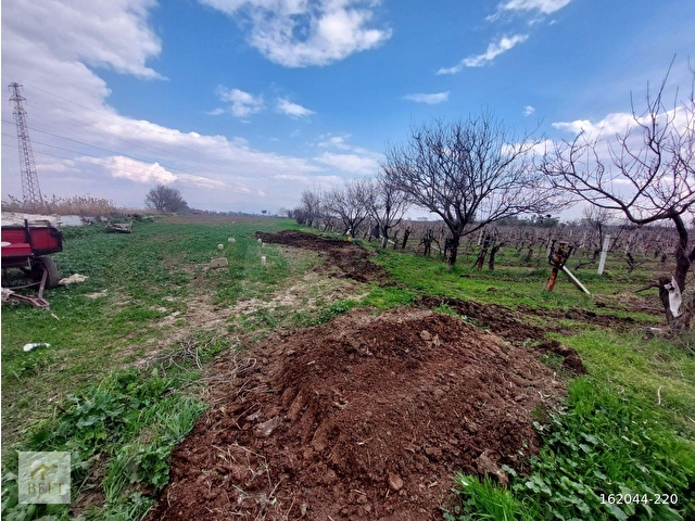 acill manisa şehzadeler  yeni harmandalı satılık tarla - Görsel 16