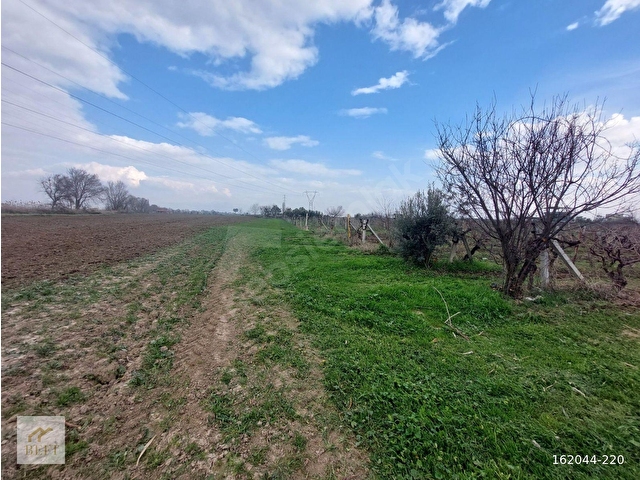 acill manisa şehzadeler  yeni harmandalı satılık tarla - Görsel 27
