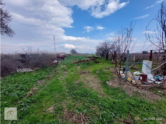 acill manisa şehzadeler  yeni harmandalı satılık tarla - Görsel 13