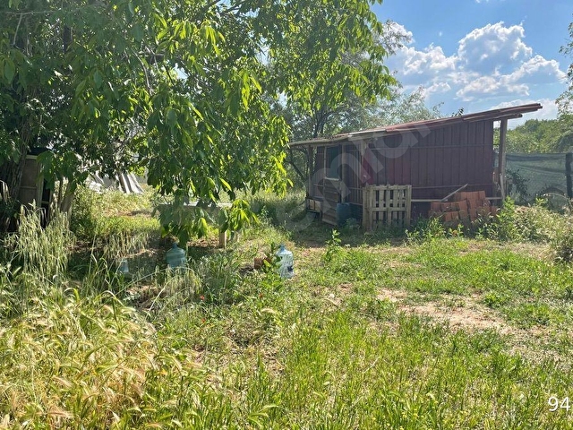 SATILIK BAĞ (DENİZLİ-TAVAS YAKA MAHALLESİNDE) 608m2 - Görsel 3