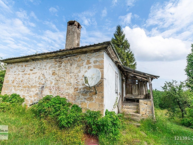 ORDU TERZİLİ MAH. 14.744m² SATILIK FINDIK BAHÇESİ ARAZİ YATIRIMLIK OREMLAKTAN