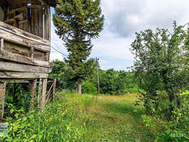 ORDU TERZİLİ MAH. 14.744m² SATILIK FINDIK BAHÇESİ ARAZİ YATIRIMLIK OREMLAKTAN - Görsel 4