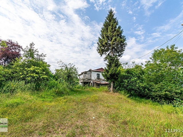 ORDU TERZİLİ MAH. 14.744m² SATILIK FINDIK BAHÇESİ ARAZİ YATIRIMLIK OREMLAKTAN - Görsel 23