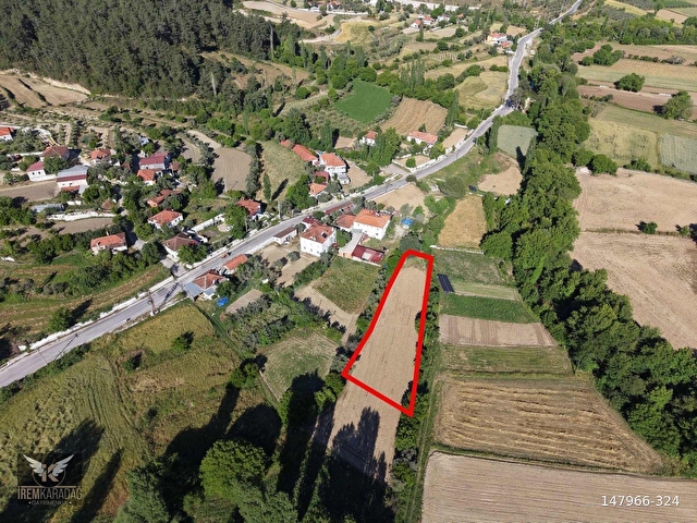 MUĞLA KAVAKLIDERE ÇAYBOYU MAHALLESİ 1622 M2 SATILIK TARLA