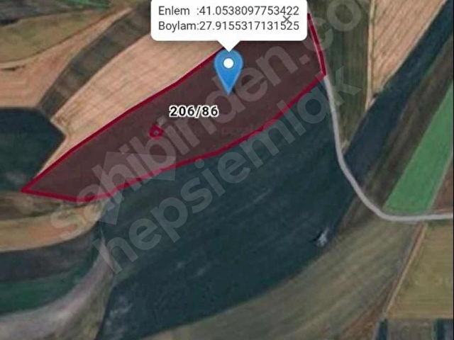 SAYGINDAN TEKİRDAĞ MARMARA EĞERLİSİNDE 12.500 M2 SATILIK ARSA