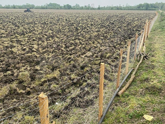 ESAT YAMAK’tan TERMEDE 10.321 m2 MÜSTAKİL ARAZİ