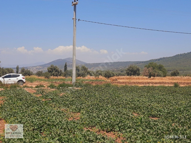 MİLAS AĞAÇLIHÜYÜK TE 4.988m² RESMI YOLA SIFIR FIRSAT TARLA - Görsel 25