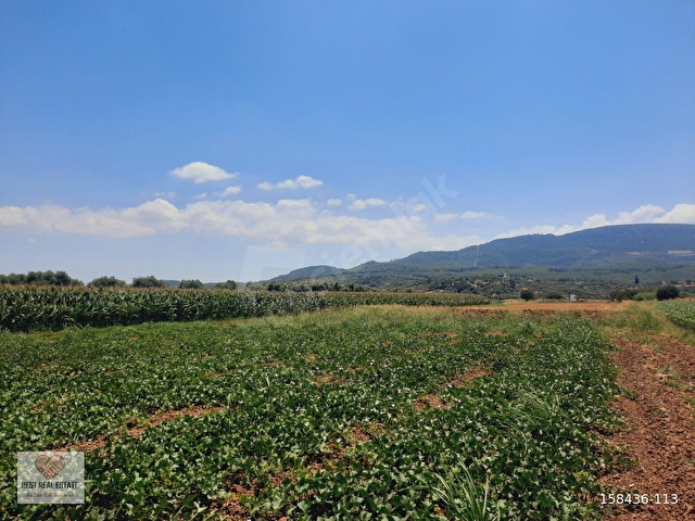 MİLAS AĞAÇLIHÜYÜK TE 4.988m² RESMI YOLA SIFIR FIRSAT TARLA - Görsel 20