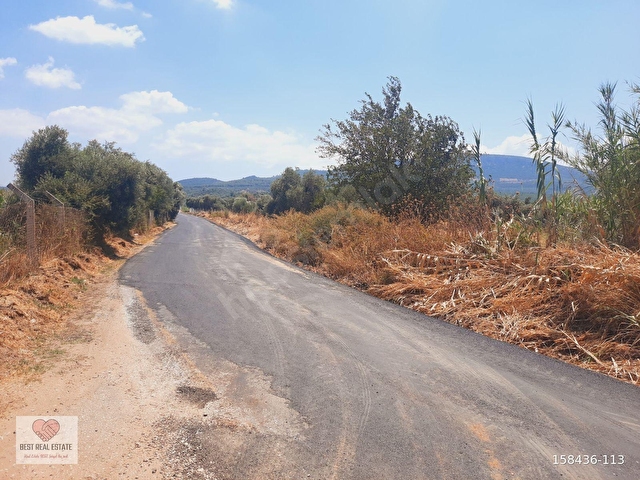 MİLAS AĞAÇLIHÜYÜK TE 4.988m² RESMI YOLA SIFIR FIRSAT TARLA - Görsel 10