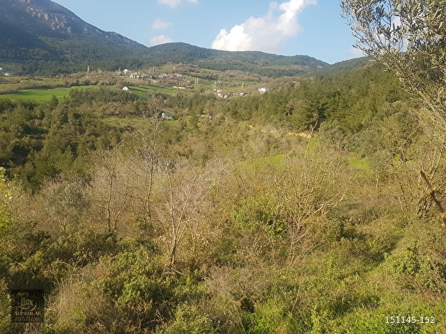 SAKARYA, PAMUKOVAda Satılık Tarım Arazisi 30+20 Dönüm - Görsel 11