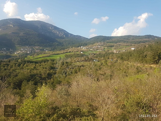 SAKARYA, PAMUKOVAda Satılık Tarım Arazisi 30+20 Dönüm - Görsel 13