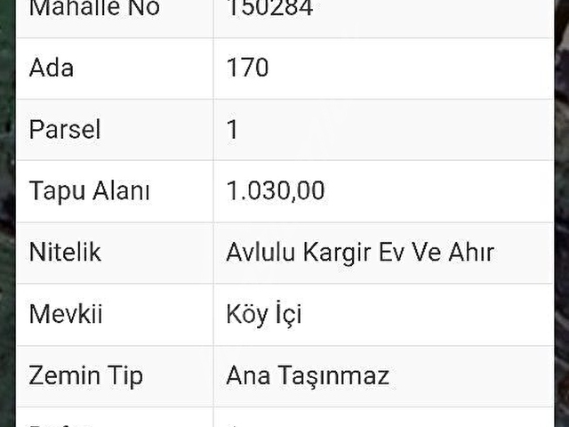 Manisa Yunusemre Sarıahmetlide İzmire Yakın Satılık Taş Duvar Kargir ev ve Dam - Görsel 2