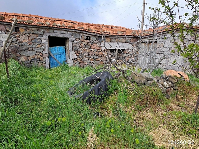 Manisa Yunusemre Sarıahmetlide İzmire Yakın Satılık Taş Duvar Kargir ev ve Dam - Görsel 6