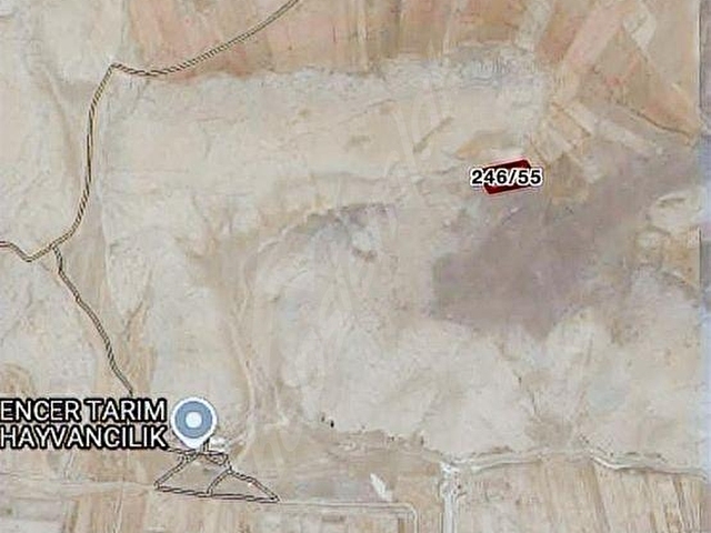 Afyon sultandağı Üçkuyu civarında satılık tarlalar - Görsel 14