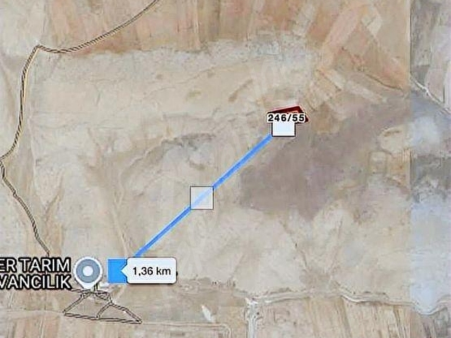Afyon sultandağı Üçkuyu civarında satılık tarlalar - Görsel 9