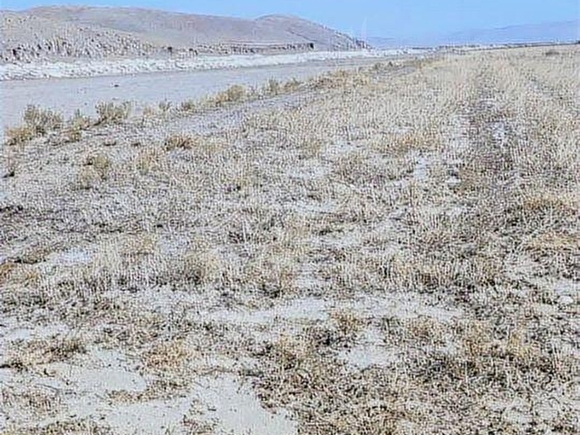 Afyon sultandağı Üçkuyu civarında satılık tarlalar - Görsel 5