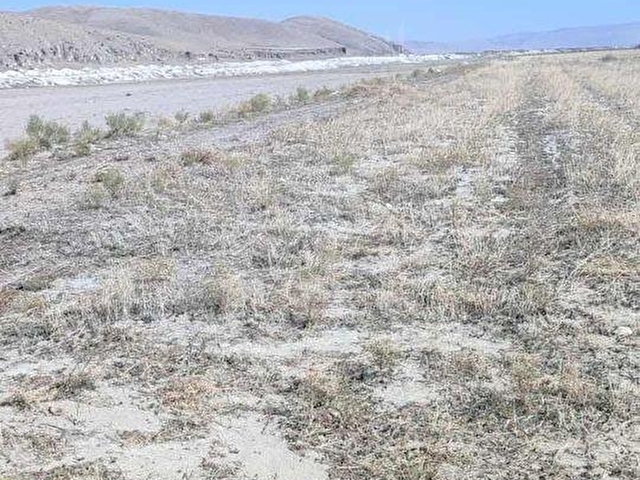 Afyon sultandağı Üçkuyu civarında satılık tarlalar - Görsel 3
