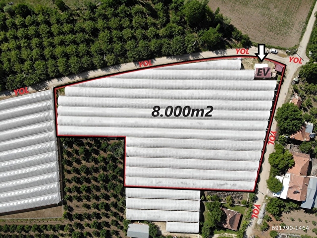 ANTALYA ELMALI ARMUTLU MAHALLE MERKEZİNDE EVİ BULUNAN 8.000m2 KAPALI SATILIK SERA - Görsel 4