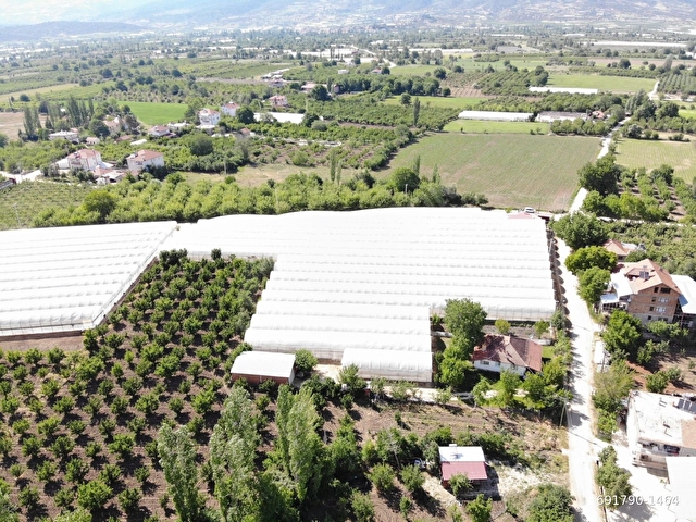 ANTALYA ELMALI ARMUTLU MAHALLE MERKEZİNDE EVİ BULUNAN 8.000m2 KAPALI SATILIK SERA - Görsel 20