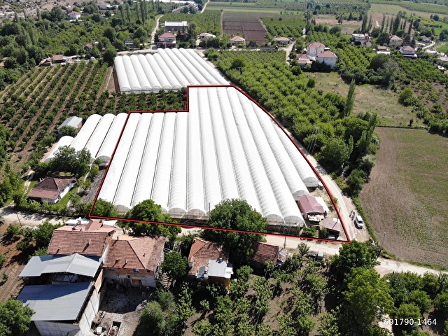 ANTALYA ELMALI ARMUTLU MAHALLE MERKEZİNDE EVİ BULUNAN 8.000m2 KAPALI SATILIK SERA - Görsel 23