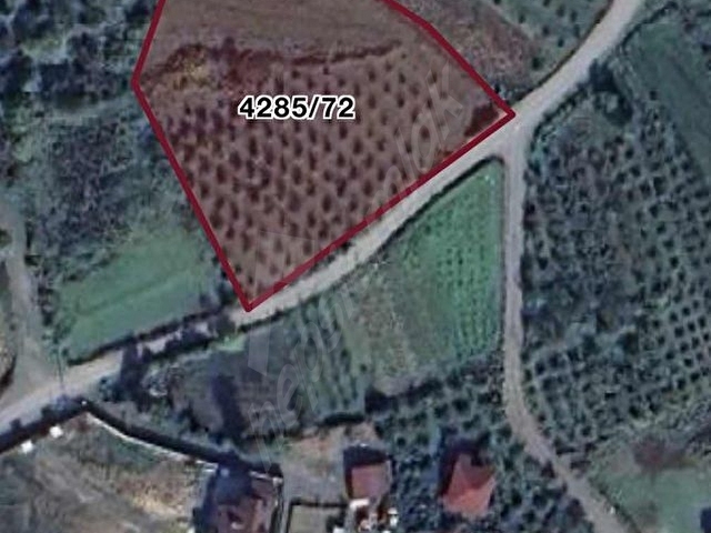 ŞİLE AĞVA GEREDELİ KÖYÜNDE 70 METRE MANZARALI 3494 m2 ARAZİ - Görsel 4