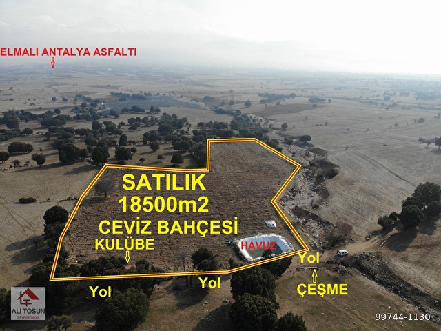 Ali Tosun Dan Bayindir Mahallesinde Fernor Cinsi Ceviz Bahcesi 99744 1130 Hurriyet Emlak