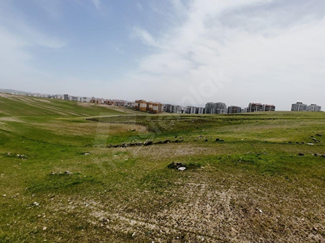 Emlakçı Nevzattan Susuz Belörende 302 m2 kök tapu - Görsel 10
