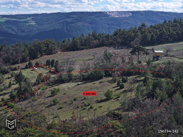 BİLECİK OSMANELİ HIZLI TREN HATTINA YAKIN 3.900 m2 TARLA - Görsel 8