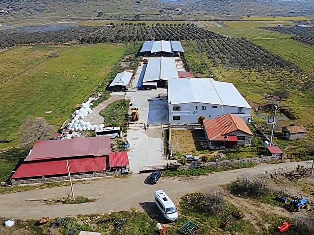 Dikili Demirtaş Satılık