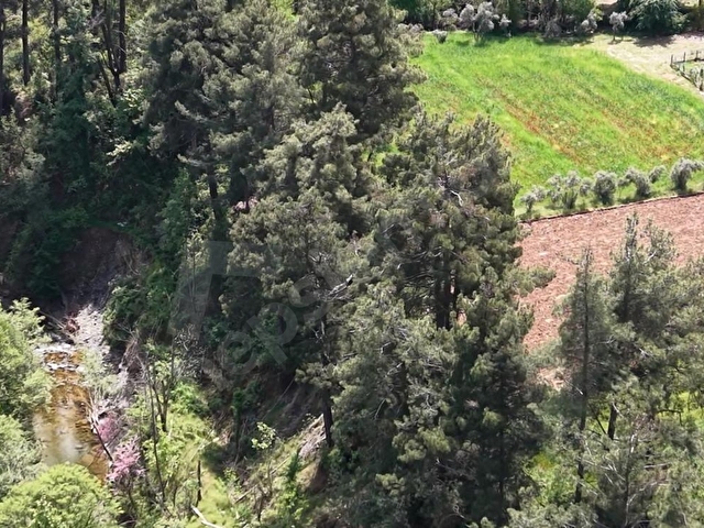 Muğla da İmarlı arazi,Dere Kenarında - Görsel 9