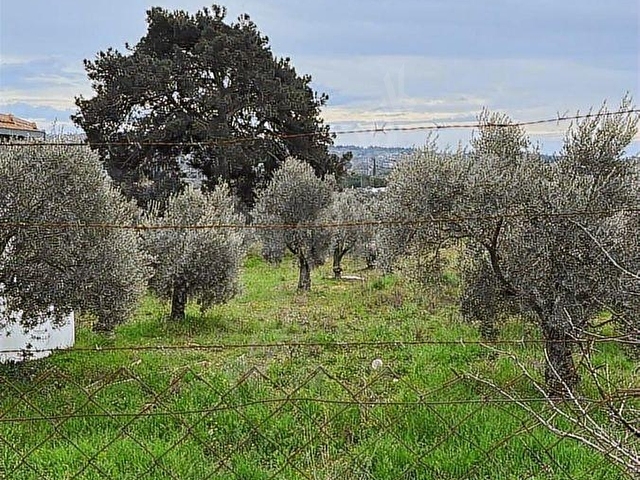 Karacağaç köy merkezinde satılık tarla Elekrik su aktif - Görsel 5