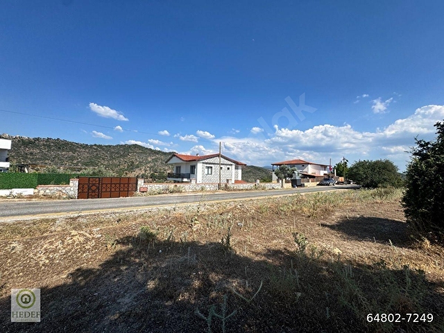 Muğla / Milas / Epçe Boynuzyanı’nda Kadastro Yoluna Sıfır 4,812 m² Satılık Zeytinlik / Köye Sıfır Km