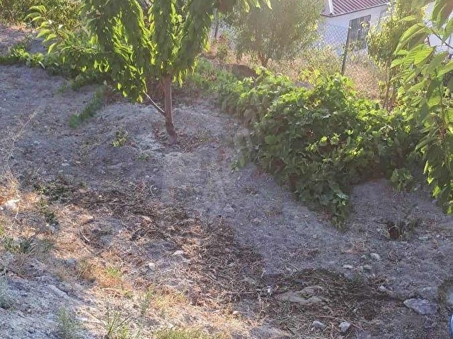 DARBOĞAZ CUMHURİYETTE 844 m2 MEYVE BAHÇELİ ARSAMIZ SATILIK - Görsel 15