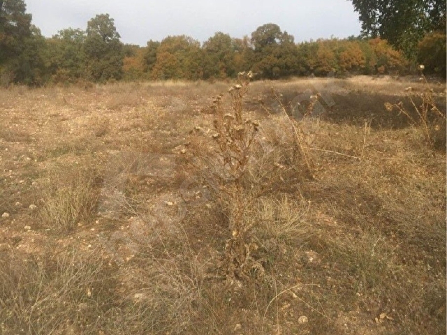 yatırımlık kupon arazi - Görsel 2
