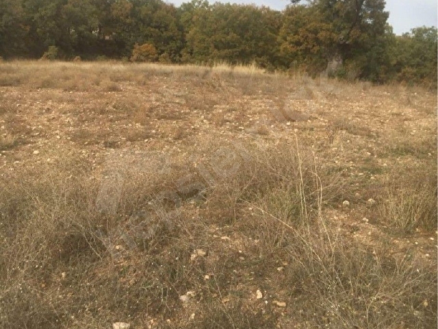 yatırımlık kupon arazi - Görsel 3