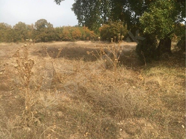 yatırımlık kupon arazi - Görsel 5