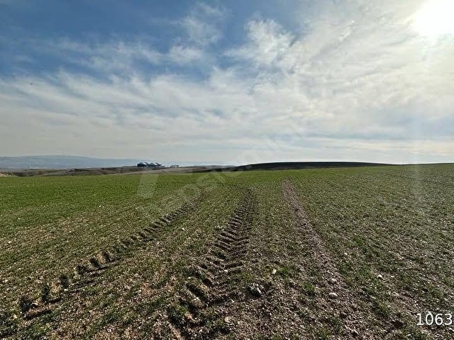 TEBERİKTE AYDOST BESİ ÇİFTLİĞİNE YOLA CEPHELİ 6800 METRE HİSSE - Görsel 2