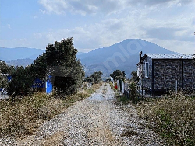 Kemalpaşa Vişnelide Satılık 220m2 Elektrik Sulu Bahçe - Görsel 4