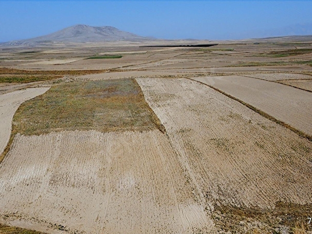14.750 M2 TARIM VE YATIRIMA UYGUN TARLA ARAÇ TAKASLI - Görsel 3