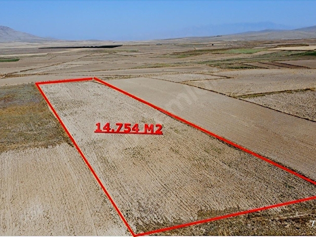 14.750 M2 TARIM VE YATIRIMA UYGUN TARLA ARAÇ TAKASLI