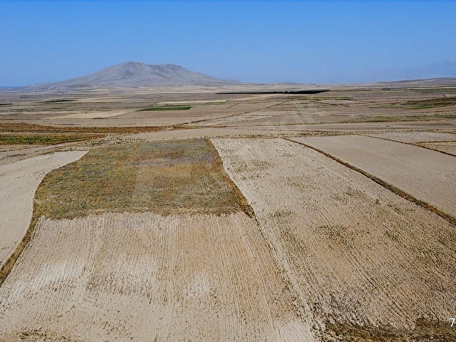 14.750 M2 TARIM VE YATIRIMA UYGUN TARLA ARAÇ TAKASLI - Görsel 5