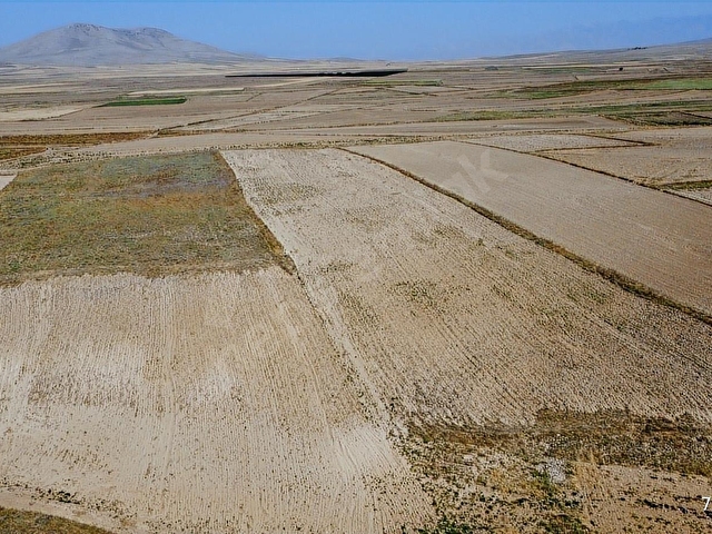 14.750 M2 TARIM VE YATIRIMA UYGUN TARLA ARAÇ TAKASLI - Görsel 4