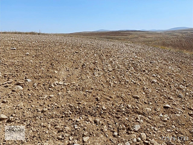 14.750 M2 TARIM VE YATIRIMA UYGUN TARLA ARAÇ TAKASLI - Görsel 8