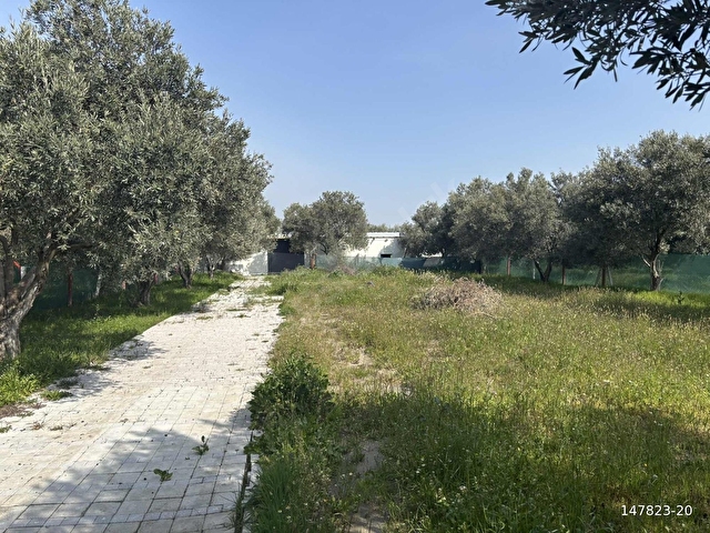 B.Ş.DEN BÜNYANİOSMANİYEDE SATILIK 1.300 m2 HOBİ BAHÇESİ - Görsel 23