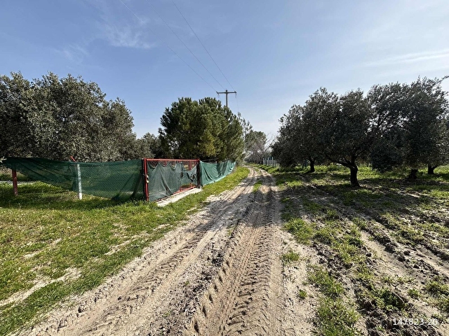 B.Ş.DEN BÜNYANİOSMANİYEDE SATILIK 1.300 m2 HOBİ BAHÇESİ - Görsel 30