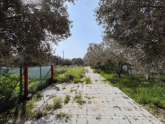 B.Ş.DEN BÜNYANİOSMANİYEDE SATILIK 1.300 m2 HOBİ BAHÇESİ - Görsel 13