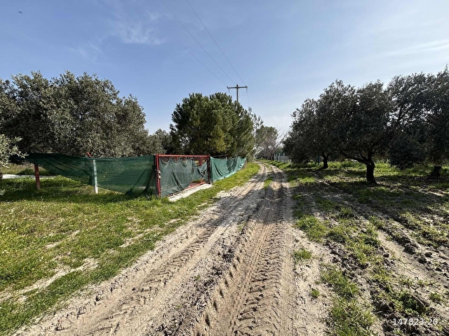 B.Ş.DEN BÜNYANİOSMANİYEDE SATILIK 1.300 m2 HOBİ BAHÇESİ - Görsel 28