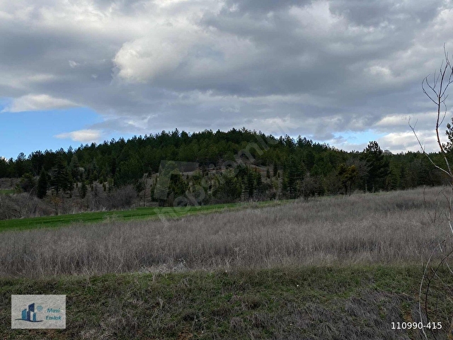KASTAMONU SIRASÖĞÜTLER 6406 M2 ARAZİ HACIBEY KAVŞAĞA 4 KM - Görsel 10