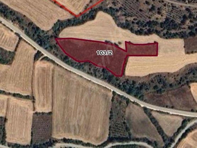 KASTAMONU SIRASÖĞÜTLER 6406 M2 ARAZİ HACIBEY KAVŞAĞA 4 KM - Görsel 2