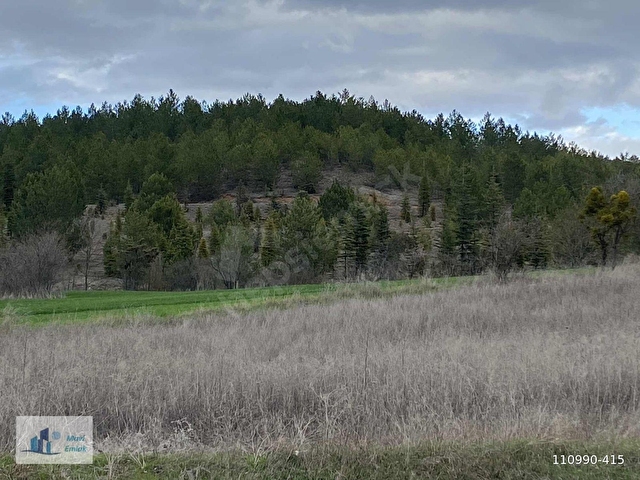 KASTAMONU SIRASÖĞÜTLER 6406 M2 ARAZİ HACIBEY KAVŞAĞA 4 KM - Görsel 7